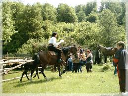 Zile cu serbari populare