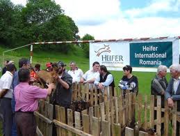 Pasarea darului pentru al doilea an la Valea Salciei