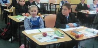 Merele în școli întârzie. Distribuția fructelor se va face în ianuarie