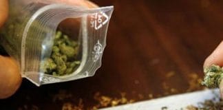 Consumatori de etnobotanice, pe mâna polițiștilor locali