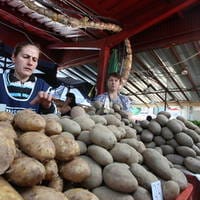 Legume mai scumpe în februarie decât în prima lună a anului