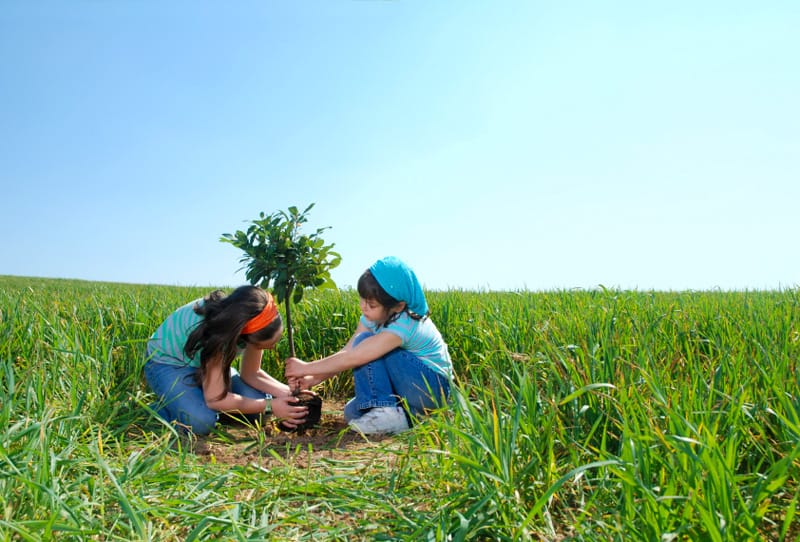 Campania de Educaţie Ecologică şi Mediu ”Ora de ecologie”, astăzi la Buzău
