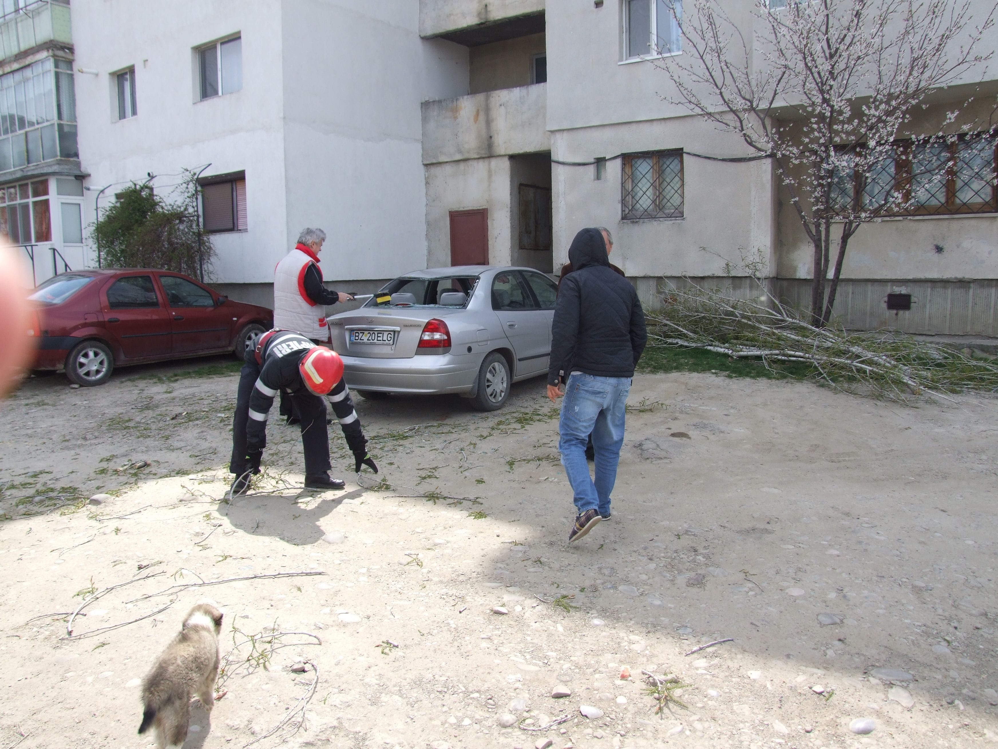 Autoturism avariat de un plop rupt de vântul puternic