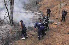 Panică ieri, în localitatea buzoiană Nehoiașu! Un incendiu puternic a mistuit litiera pădurii pe o suprafață de 10 hectare