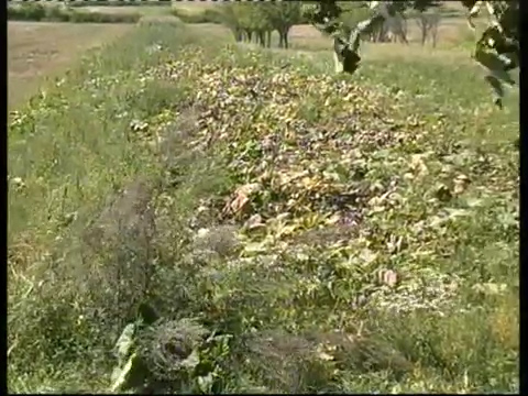 Regres semnificativ în cultura ecologică buzoiană