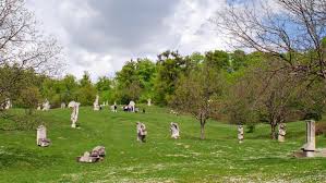 Tabăra de Sculptură de la Măgura, în atenția Consiliului Județean. Ce planuri au autoritățile!