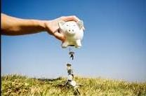 Credite de până la 75.000 euro pentru cofinanţarea fermelor de familie din judeţul Buzău