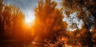 Si astazi avem parte de o zi frumoasa de toamna