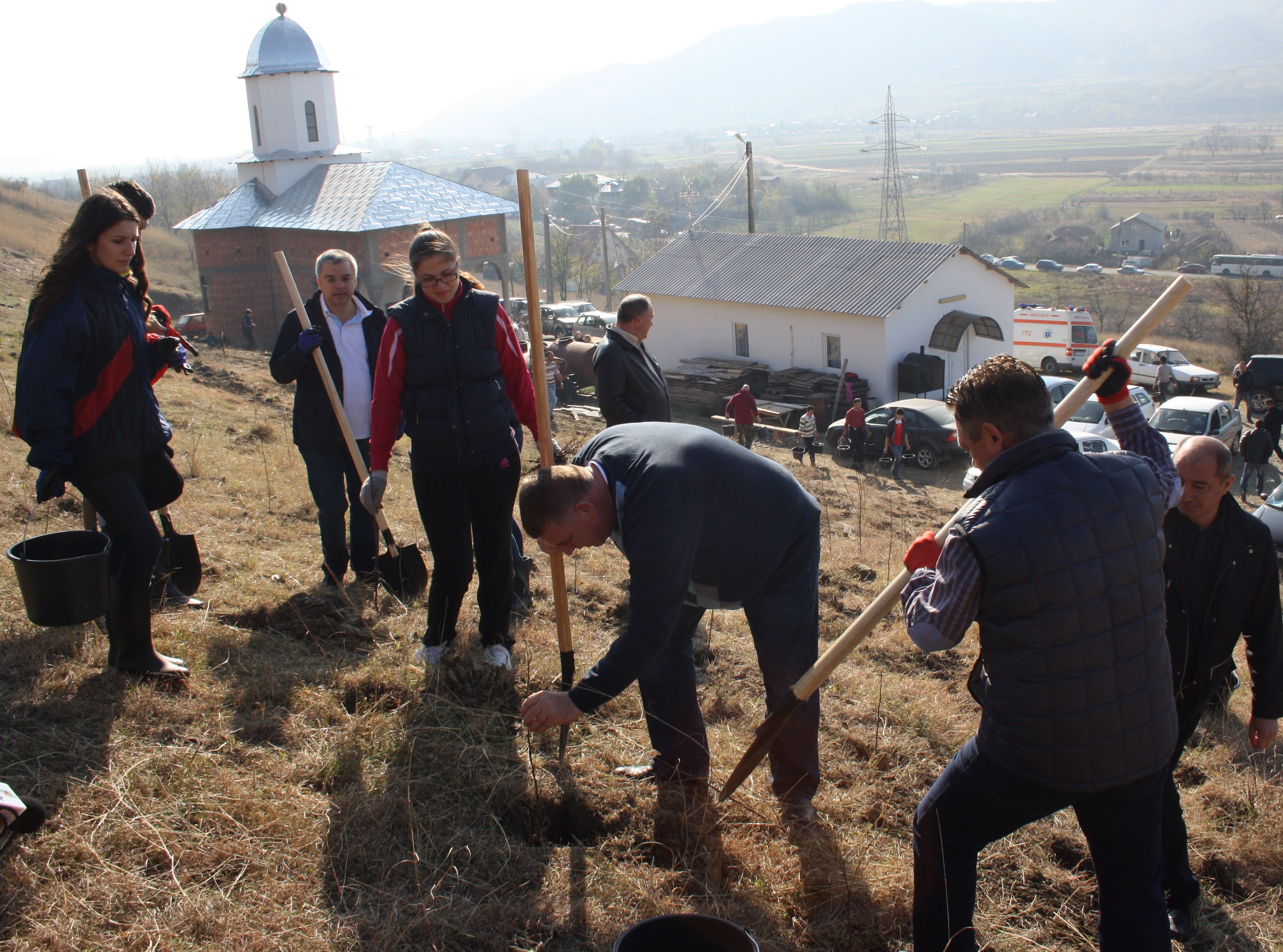 Membrii PNL Buzau, in frunte cu Cristi Bagiu, presedintele Consiliului Judetean, au plantat 5.000 de salcami la Berca pentru a opri alunecarile de teren
