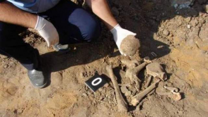 Oseminte umane, printre care si 4 cranii, descoperite de o echipa de muncitori care fac lucrari de restaurare a Complexului Brancovenesc