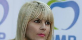 Elena Udrea vine duminica la Buzau pentru a pune la punct strategia pentru alegerile europarlamentare