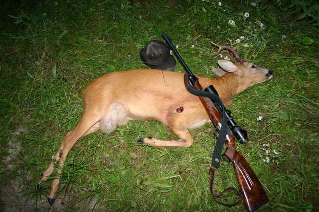 Braconier prins de politisti dupa ce a impuscat un caprior a carui valoare a fost estimata la 5.000 de euro