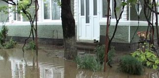 Gospodării inundate în urma potopului de aseară