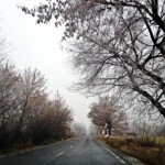 toamna