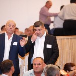 alegeri, marcelciolacu, PSD