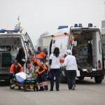 accident, avicola, simulare