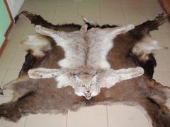 Indivizi, trimiși în judecată pentru afaceri murdare cu piei de animale. Prejudiciul este imens