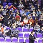 buzau, Handbal, jucarii de plus