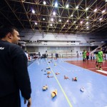 buzau, Handbal, jucarii de plus