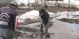 Video: Două case au fost inundate la Smeeni după ce zăpada a început să se topească