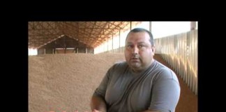 Producţia de grâu de anul acesta la jumătate! Ne aşteptăm la scumpirea pâinii!