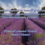 00c8741b-d12b-41cc-ae9c-841521e18fd7