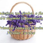 034c3597-5ab9-48e9-aac9-83edafe7484b