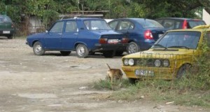 Zeci de locuri de parcare, ocupate de rable. Poliţia Locală nu poate lua nicio măsură