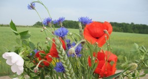 Astăzi se sărbătoreşte Ziua Femeii. Jurnalul de Buzău urează „La mulţi ani!” tuturor doamnelor şi domnişoarelor