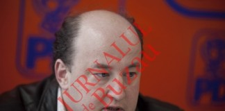 Pedelistii vor propune candidat la vicepresedintia Consiliului Judetean