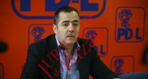 Cezar Preda: „Decizia Curţii Constituţionale nu ar putea conduce la demisia Guvernului”