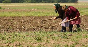 Prefectul le promite agricultorilor care vor avea de suferit în urma secetei, că vor primi despăgubiri