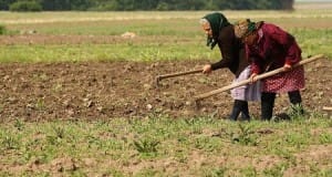 Agricultorii obligati sa plateasca TVA