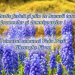 c2de3f20-4ff8-4baa-9688-5cc625c4d3a7