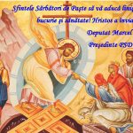 c7fb2d41-cda1-44ab-aac5-4da4b3f75859