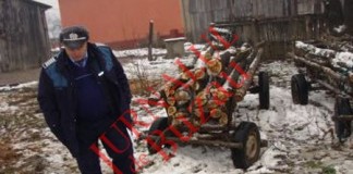 Trei barbati din Maracineni au plecat la furat de lemne, la Cernatesti, chiar in ziua alegerilor