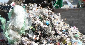 Inca o lege noua, aceleasi gunoaie si deseuri