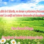 e540db15-2551-4ceb-a816-79efe390e110