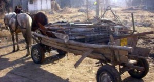 Prinşi în timp ce furau bucăţi din fier din podeţul de la râul Câlnău