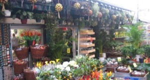 Flori cu miros de evaziune fiscală. Comisarii financiari sunt cu ochii pe florari