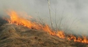 A început sirul incendiilor de vegetatie uscată. Sfaturi de la pompieri