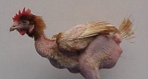 Ce mai reclama buzoienii la OPC