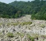 Proiectul Changes demarat în urmă cu un an de Academia Română în colaborare cu ISU şi Prefectura, are primele concluzii