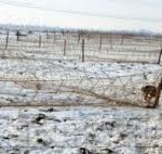 Suspiciuni de braconaj la Bălăceanu