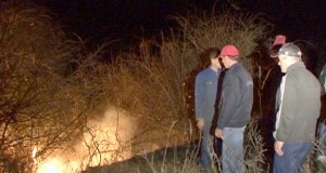 30 de hectare de vegetatie au ars aseara la Cernatesti