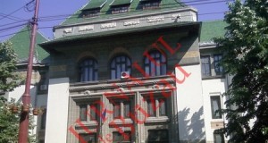 Doi buzoieni, judecaţi pentru uciderea a 10 câini