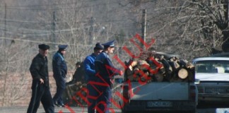 Flagrant, la taiat de lemne