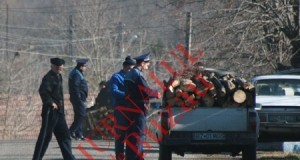 Transporturi frauduloase de lemne