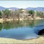 Plan de acțiune pentru alte două situri Natura 2000: Lunca Buzăului și Meledic