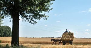 Înfiinţarea Camerei Agricole, aproape de final
